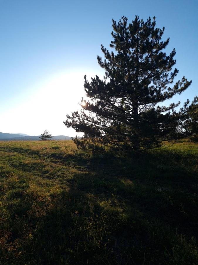 Apartman Juga Kremna Exteriér fotografie